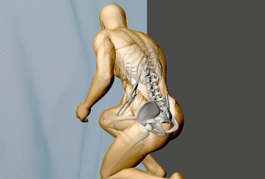 A Evolução Etária do Sistema Osteomuscular e suas Consequências.